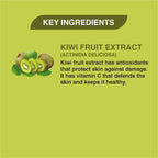 Khadi Veda Kiwi Magic Lip Balm | Grocsy