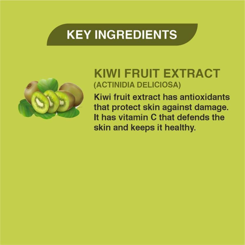 Khadi Veda Kiwi Magic Lip Balm | Grocsy