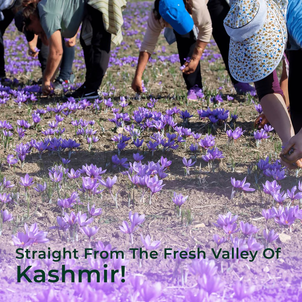 Organic Mandya Kashmiri Saffron | Grocsy