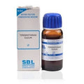 SBL Homeopathy Terebinthinae Oleum Mother Tincture Q | Grocsy