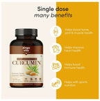 Zingavita Next Generation Curcumin Capsules | Grocsy