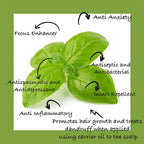 Sarva by Anadi Basil Essential Oil | Grocsy