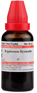 Dr. Willmar Schwabe India Equisetum Hyemale Mother Tincture Q | Grocsy