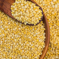 Sudhanya Organic Moong Dal (Split) (Pesara Pappu) | Grocsy