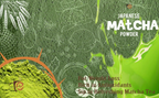 Eteasy Japanese Matcha Green Tea Powder | Grocsy