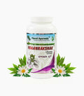 Planet Ayurveda Praanrakshak Churna | Grocsy