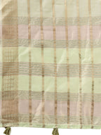 Shree Shyam Fashion Organza Light Green Saree | Grocsy