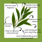Sarva by Anadi Tea Tree Pure Essential Oil | Grocsy