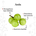 Alps Goodness Amla Reetha & Shikakai Powder | Grocsy