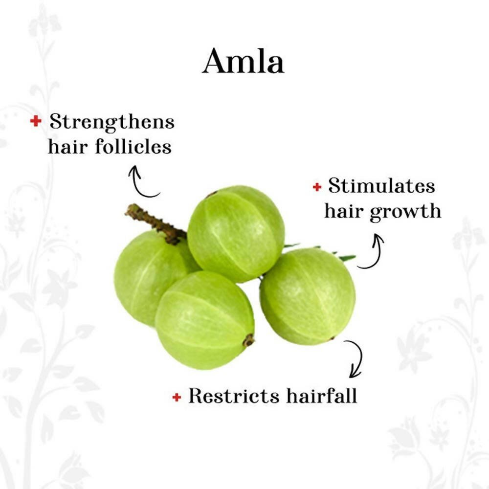 Alps Goodness Amla Reetha & Shikakai Powder | Grocsy