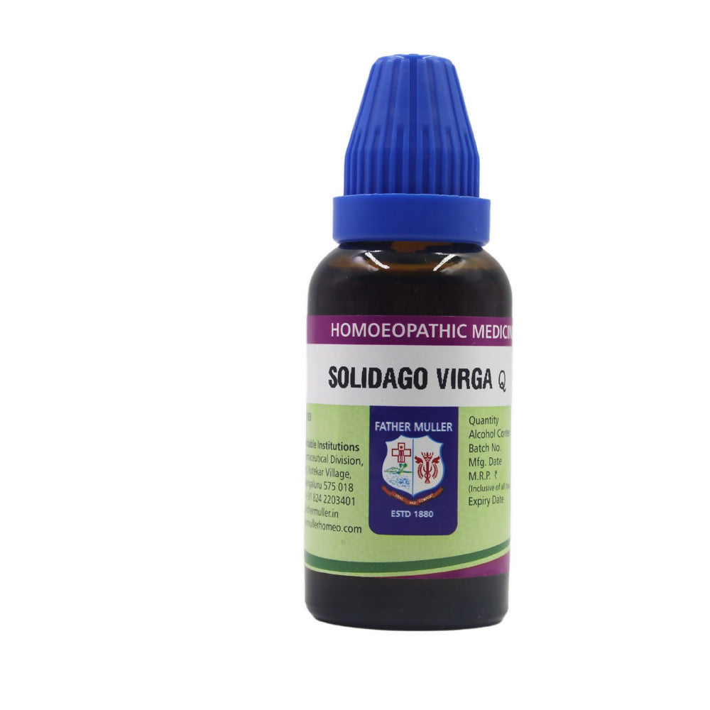 Father Muller Solidago Virgaurea Mother Tincture Q | Grocsy