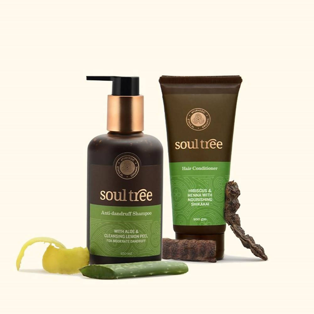 Soultree Anti - Dandruff Treatment | Grocsy