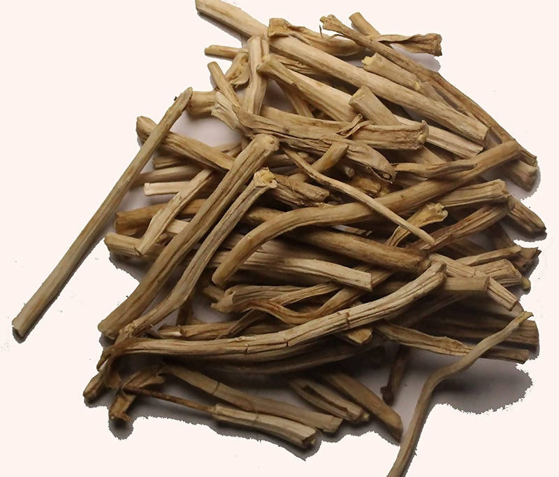 Dark Forest Shatavari Powder | Grocsy