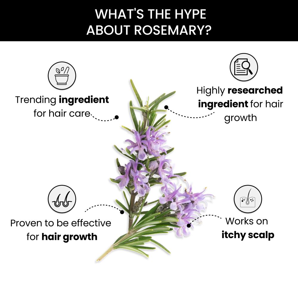 ThriveCo Rosemary Essential Oil | Grocsy