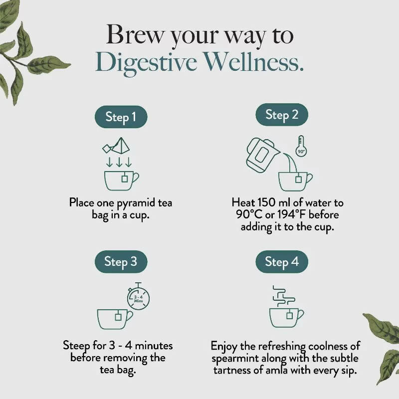 Wellbeing Nutrition Digest Green Tea | Grocsy