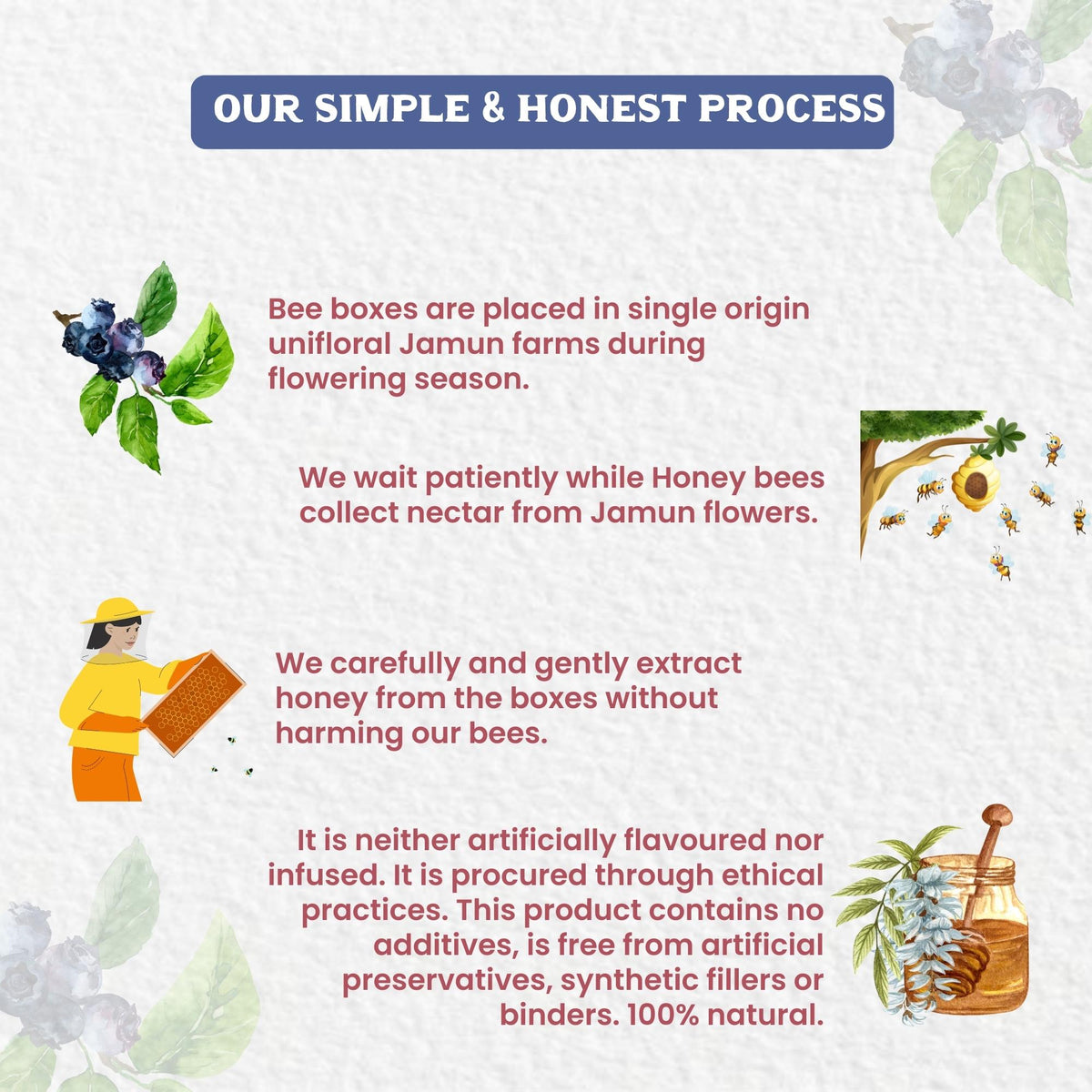 Vediko Origins Raw Jamun Honey | Grocsy