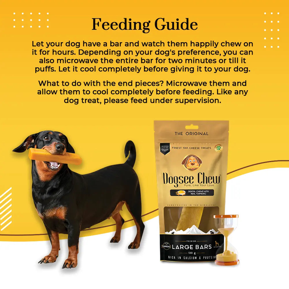 Dogsee Turmeric Large Bars: Long-Lasting Dental Chews For Large Dogs | Grocsy