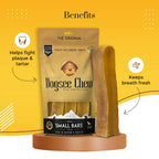 Dogsee Turmeric Small Bars: Long-Lasting Dental Chews for Small Dogs | Grocsy