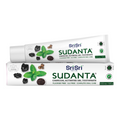 Sri Sri Tattva USA Sudanta Toothpaste With Charcoal & Salt | Grocsy