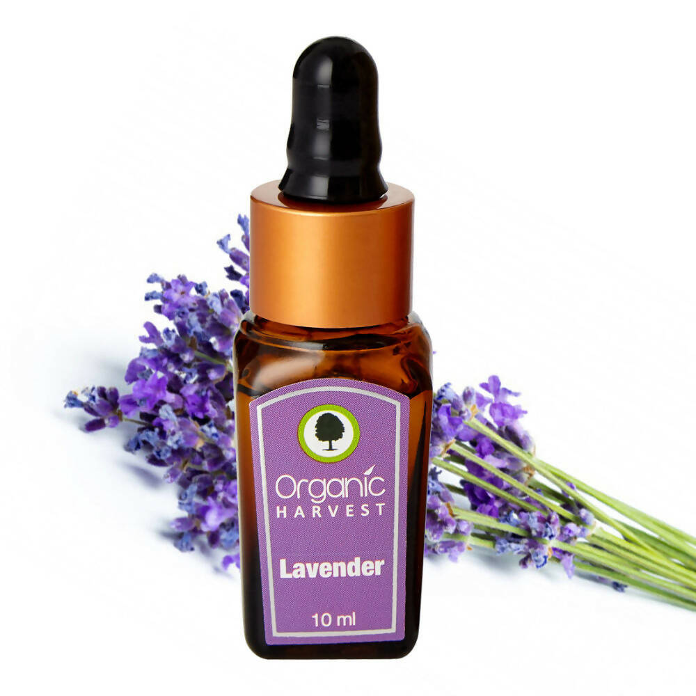 Organic Harvest Lavender Essential Oil | Grocsy
