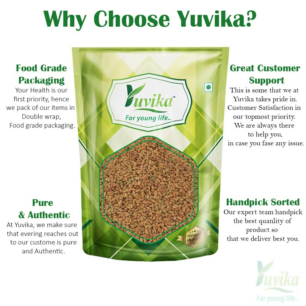 Yuvika Kasuri Methi Seeds - Champa Methi | Grocsy