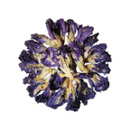 Tea Trunk Blue Pea Flowers Natural Anti-Oxidant Butterfly Pea Flower Tisane Green Tea | Grocsy