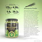 Ishva Wheatgrass Powder Pure & Natural Superfood Detoxifies, Supports Digestion & Promotes Vitality | Grocsy
