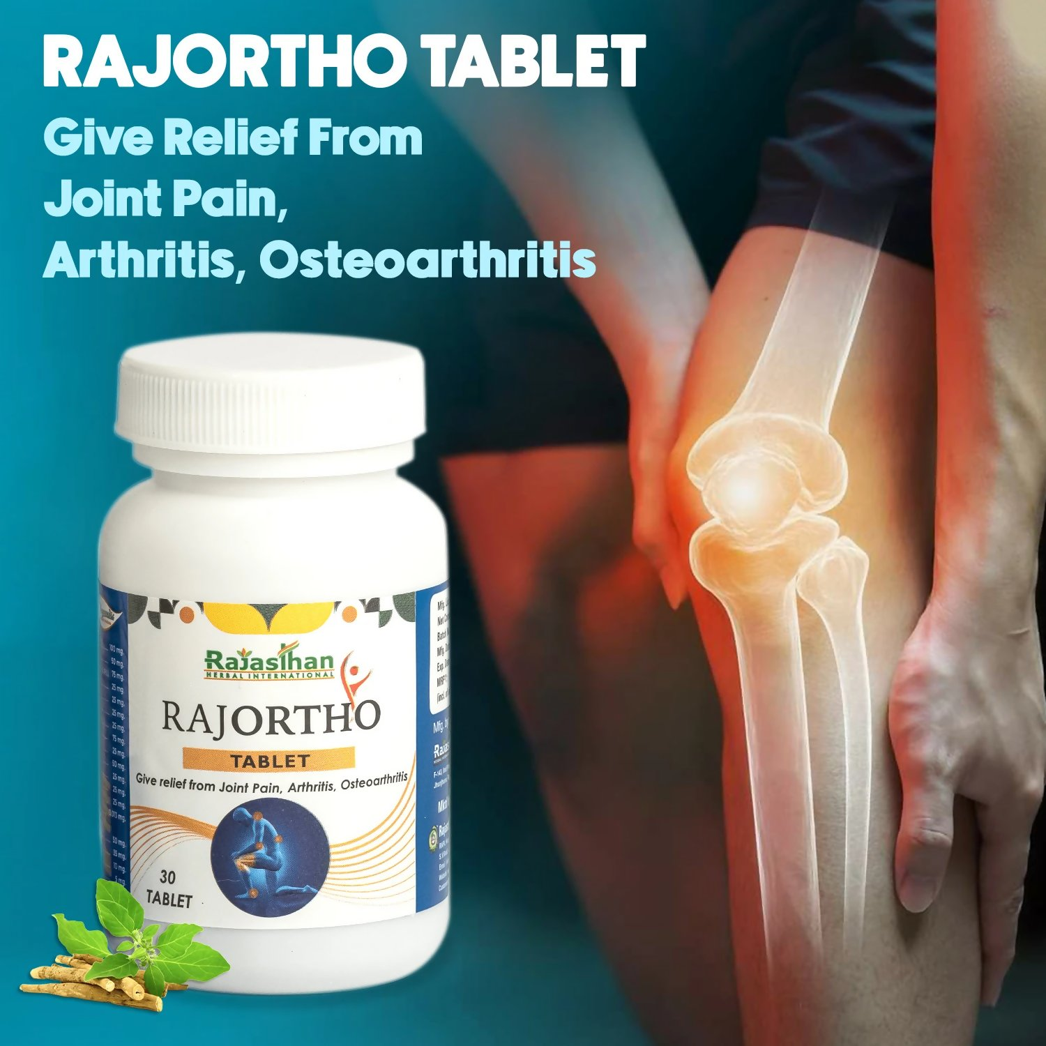 Rajasthan Herbals Rajortho Tablets | Grocsy
