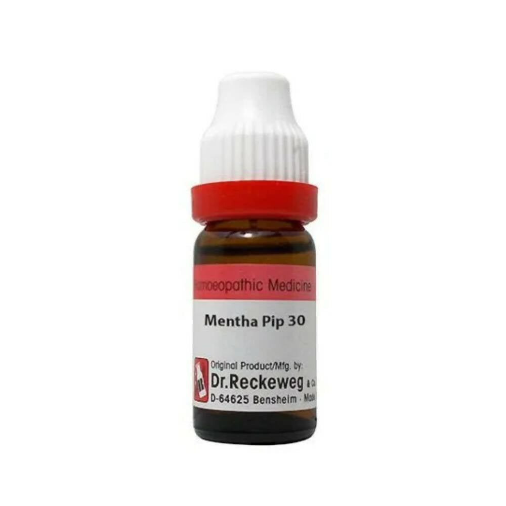 Dr. Reckeweg Mentha Pip Dilution | Grocsy
