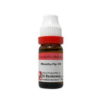 Dr. Reckeweg Mentha Pip Dilution | Grocsy