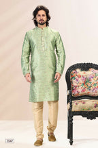 Raivat Ethnic Jacquard Banarasi Silk Pintux Work Kurta Pajama In Green Colour | Grocsy