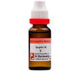 Dr. Reckeweg Spigelia Mother Tincture Q | Grocsy
