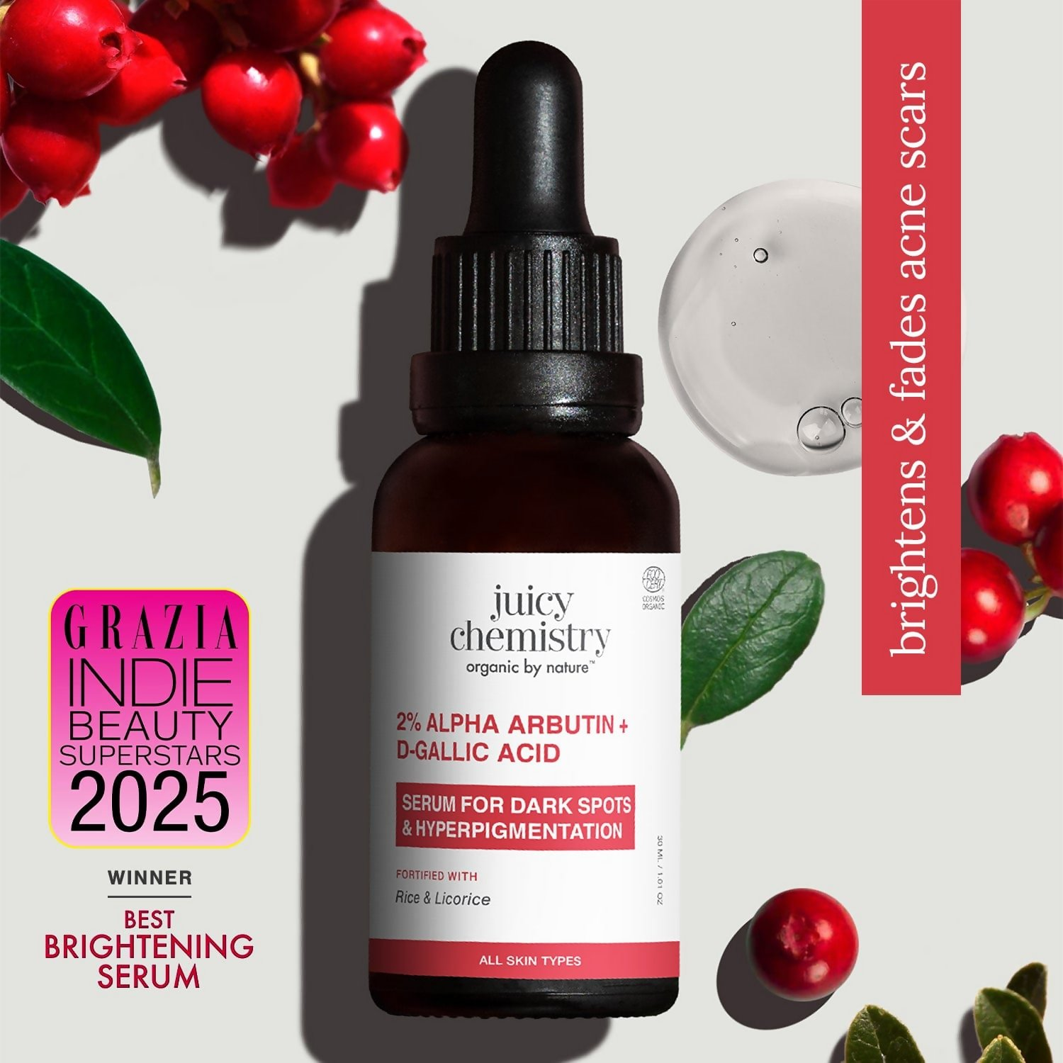 Juicy Chemistry 2% Alpha Arbutin + D-Gallic Acid Face Serum | Grocsy