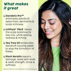 PLIX The Plant Fix Neem Anti-Dandruff Advanced Lotion Reduce Dandruff, Itching & Irritation | Grocsy