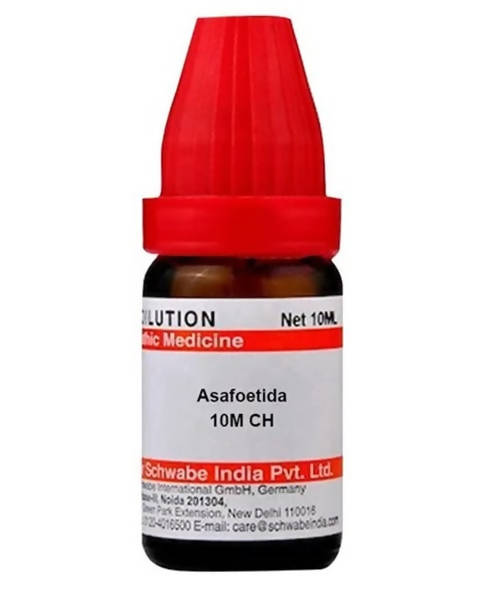 Dr. Willmar Schwabe India Asafoetida Dilution | Grocsy