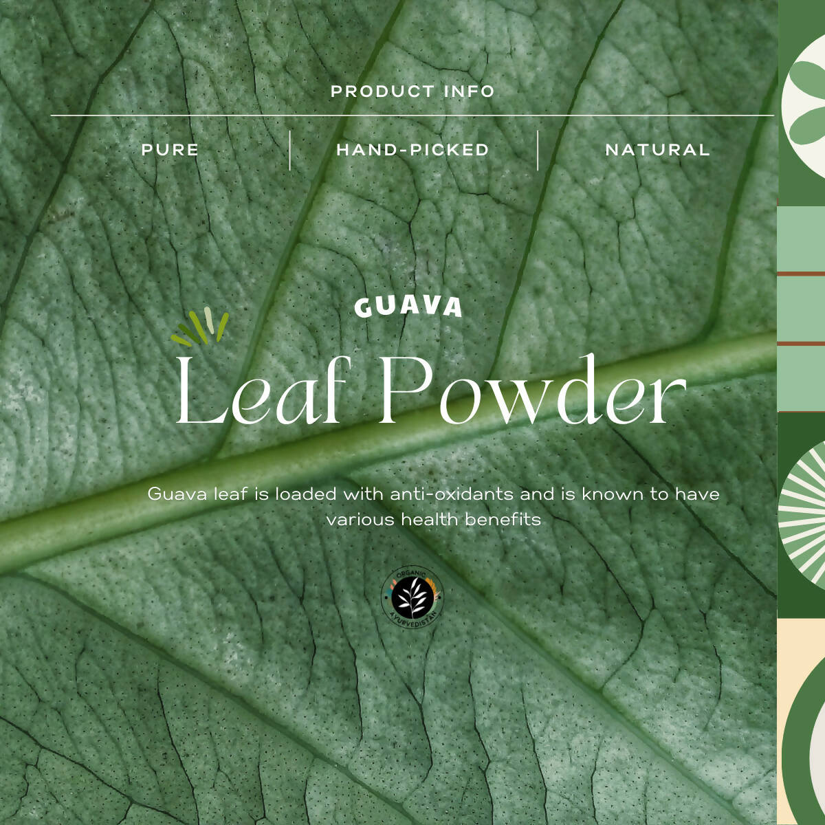 Organic AyurveGrocsyn Guava Leaves Powder | Grocsy