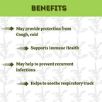Herbal Hills Panch Tulsihills Drop | Grocsy