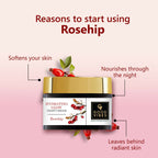 Good Vibes Rosehip Hydrating Glow Night Cream - Nourshing, Skin renewing, Sleep treatment | Grocsy