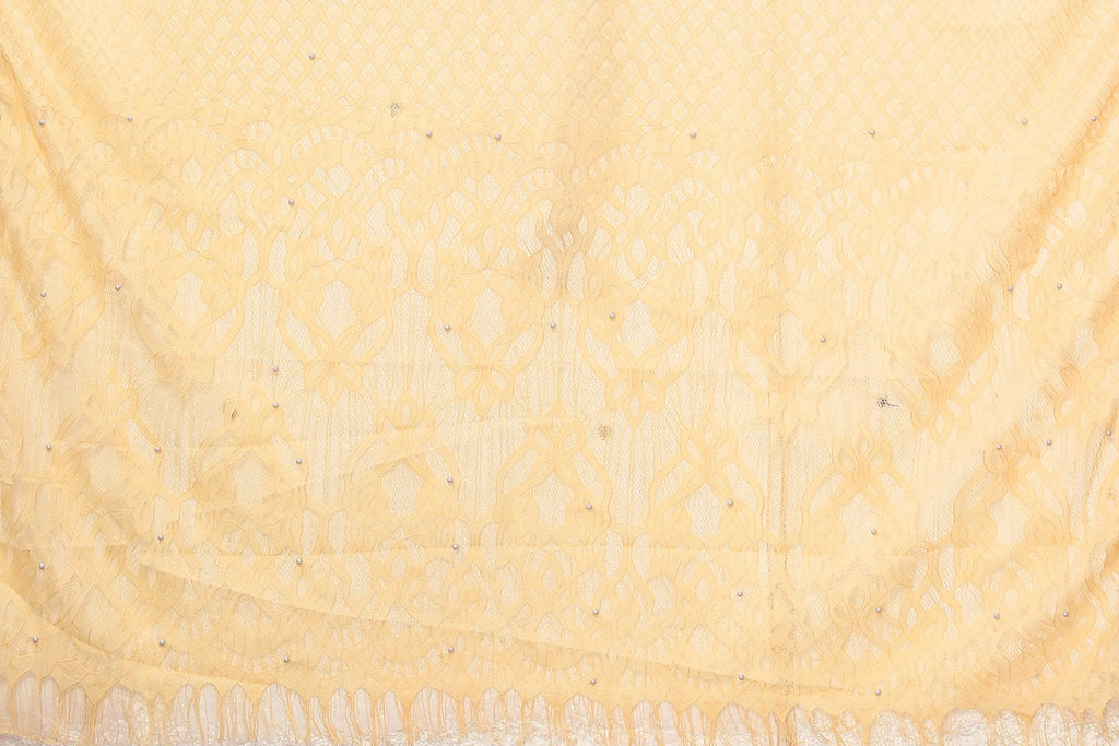 Vamika Net Brasso Cream Light Weight Trendy Look Bollywood Style Saree | Grocsy