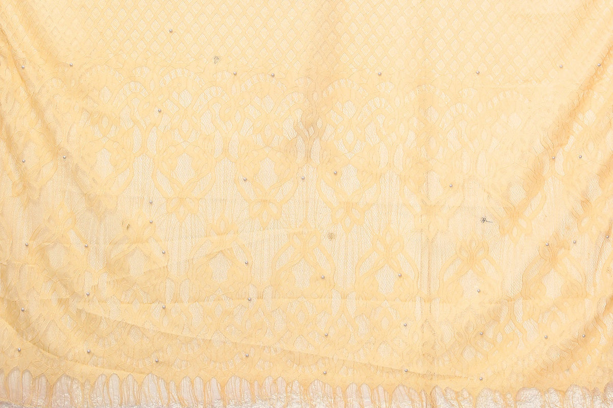 Vamika Net Brasso Cream Light Weight Trendy Look Bollywood Style Saree | Grocsy