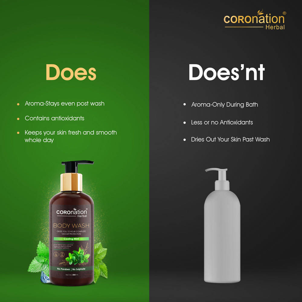 Coronation Herbal Cool Mint Body Wash | Grocsy