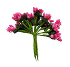 Pink Pollens | Grocsy