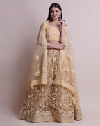 Jyoti Fashion Women's Cream Net Thread Embroidered Designer Lehenga Choli Set | Grocsy