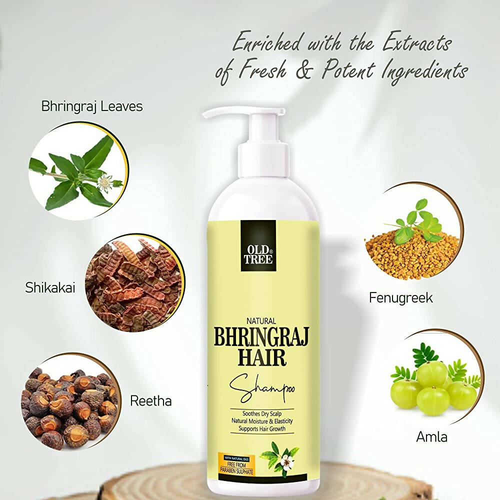 Old Tree Bhringraj Hair Shampoo for Hair Growth | Grocsy