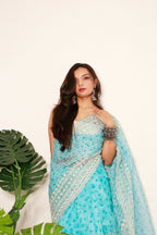 Vamsee Divya Sky Organza Saree | Grocsy