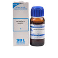 SBL Homeopathy Helianthus Annuus Mother Tincture Q | Grocsy