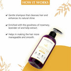 Glamveda Rice Water & Fenugreek Daily Shine & Care Shampoo | Grocsy