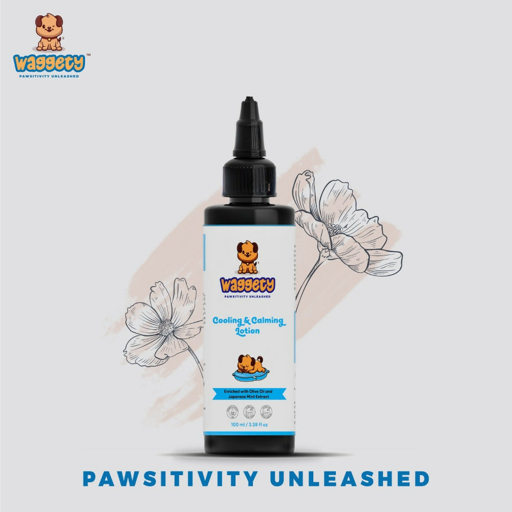 Waggety Cooling & Calming Lotion for Dogs | Grocsy