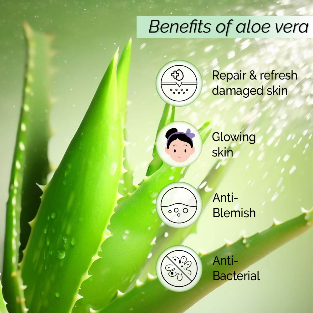 Pyoura Aloe Vera Hydrating No Gel Face Toner Mist | Grocsy