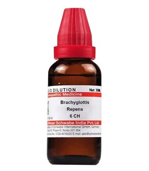 Dr. Willmar Schwabe India Brachyglottis Repens Dilution | Grocsy